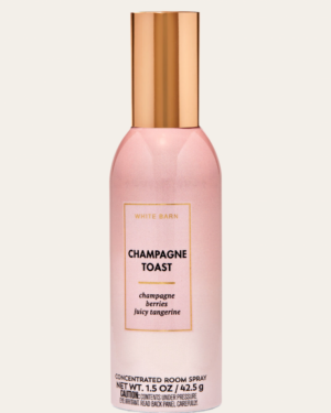 Champagne Toast ruumilõhnastaja 42.5g