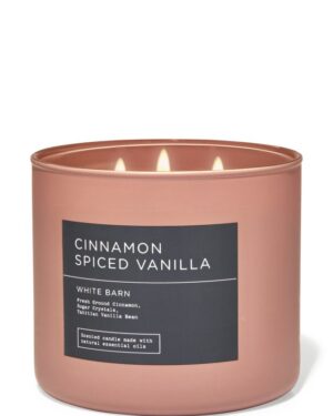 Cinnamon Spiced Vanilla 3-tahiga küünal