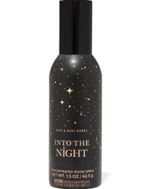Into The Night ruumilõhnastaja 42.5g